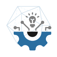 Professional Implementation